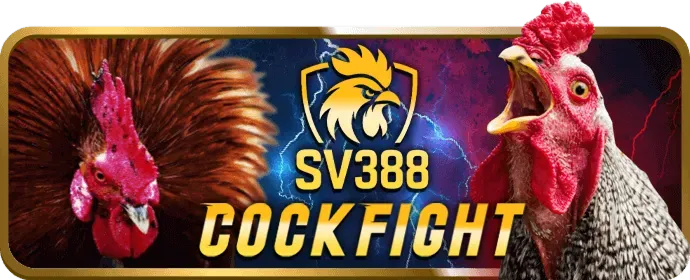 Câu hỏi thường gặp Fun88